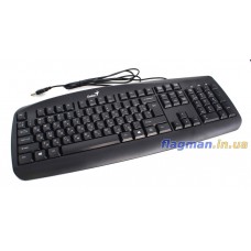 Клавіатура USB Genius KB-110 Black (31300700113)