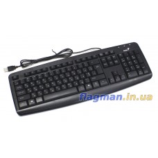 Клавиатура USB Genius KB-110X Black (31300711108)